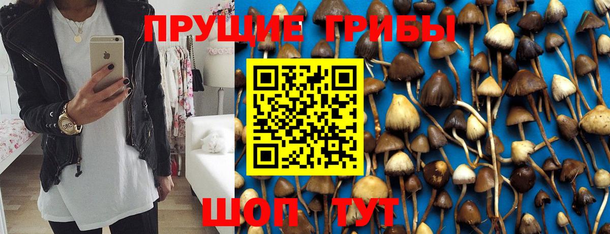 Галлюциногенные грибы мухоморы  Вход с VPN  Курганинск  Галлюциногенные грибы GOLDEN TEACHER 