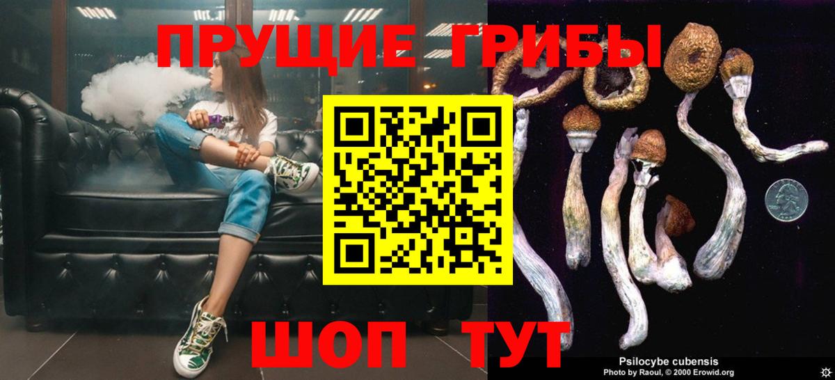 Псилоцибиновые грибы ЛСД Курганинск
